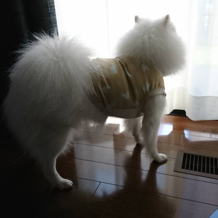 981c5f52 c0b3 45ef b9f8 11c997903159 1564386793874