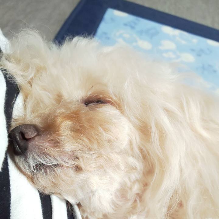 981c7818 efda 423a bf01 8294d03649d8 1626153880025