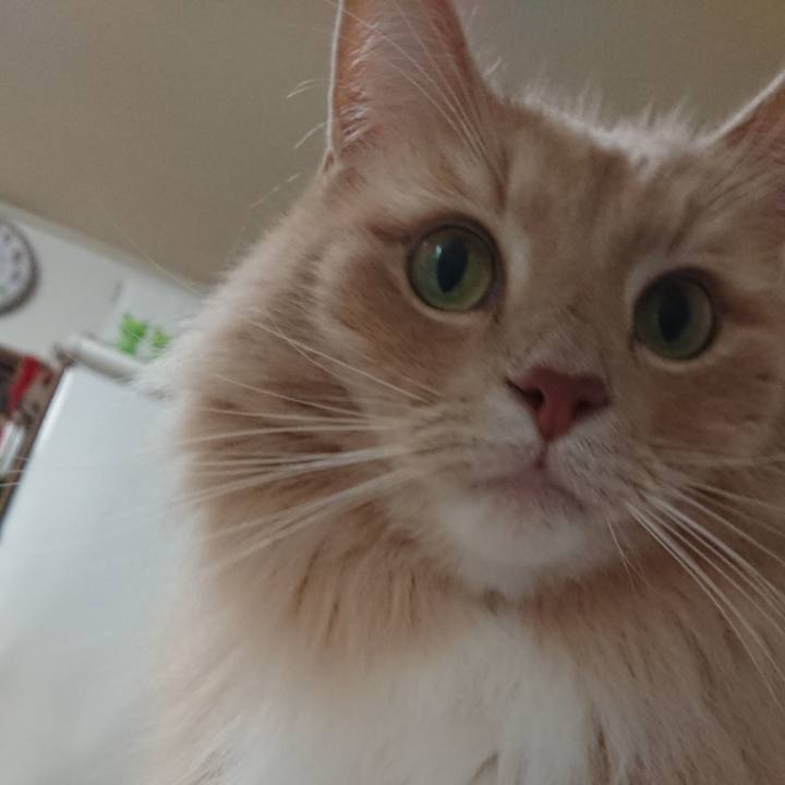 981c96c5 3835 4e23 bc1a 0b98c0d9061c 1577283018919