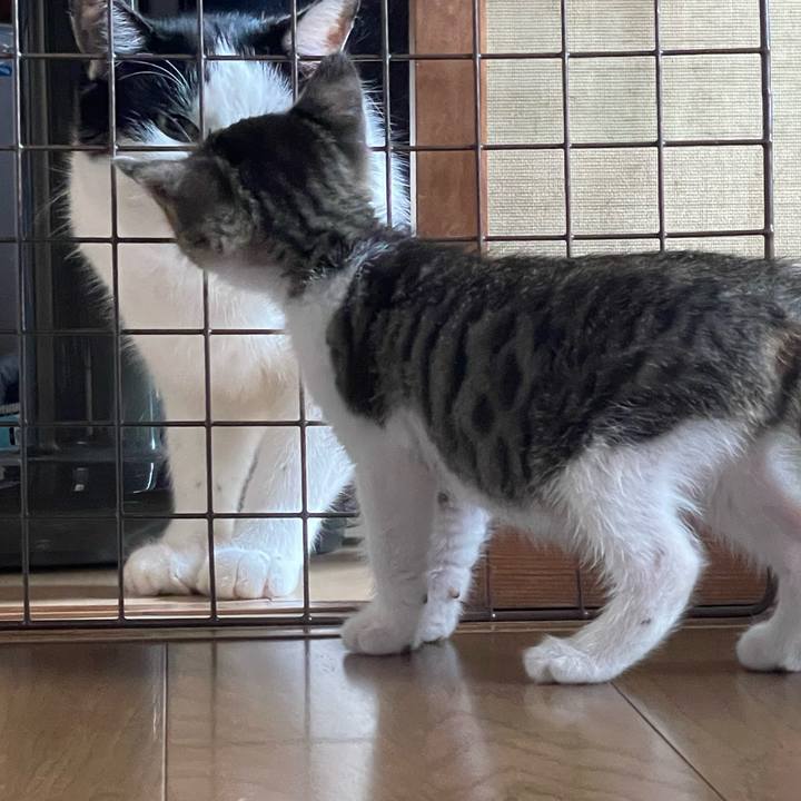 981cb129 6318 4216 b31d 1647c4c204ae 1720846734633