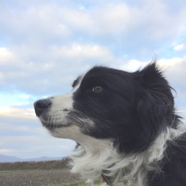 981d3e54 8d54 44eb 88f0 cf52e4ec5bfb 1574118647821