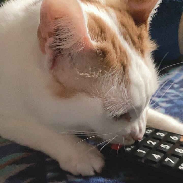 981d482e 3065 469c b2ea 249f38699a9e 1588761521501