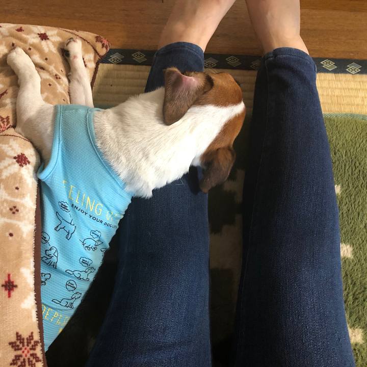 981d5458 229a 4a06 894e 6d6c0fc71a62 1566171051566