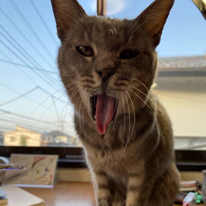 981d5e98 11e1 4e1d 9758 b30e0e53b321 1616246059921