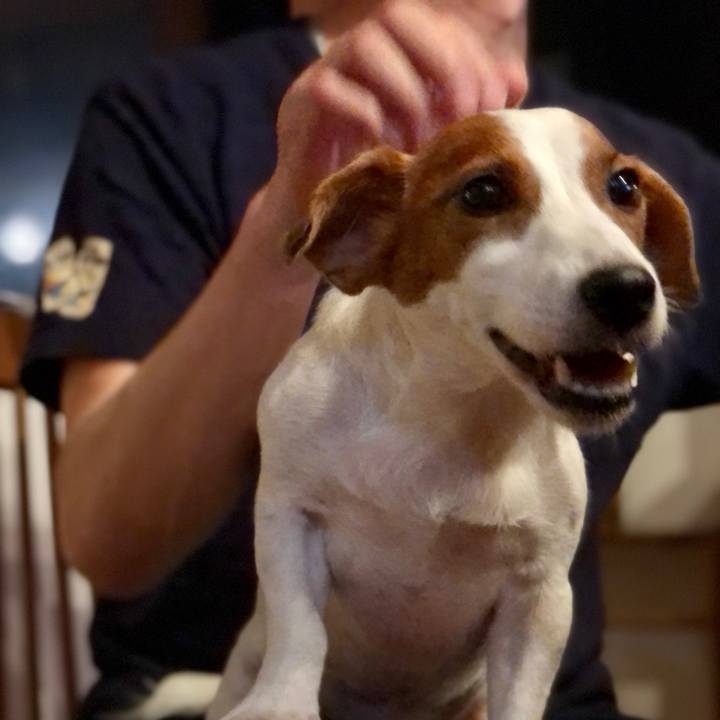 981da698 cd84 4da8 868f fb9337d139b4 1632216696107