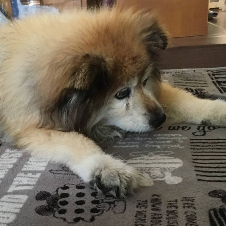 981dbd0a 424e 47cc 9c2a b02892f2dd2a 1611395103642