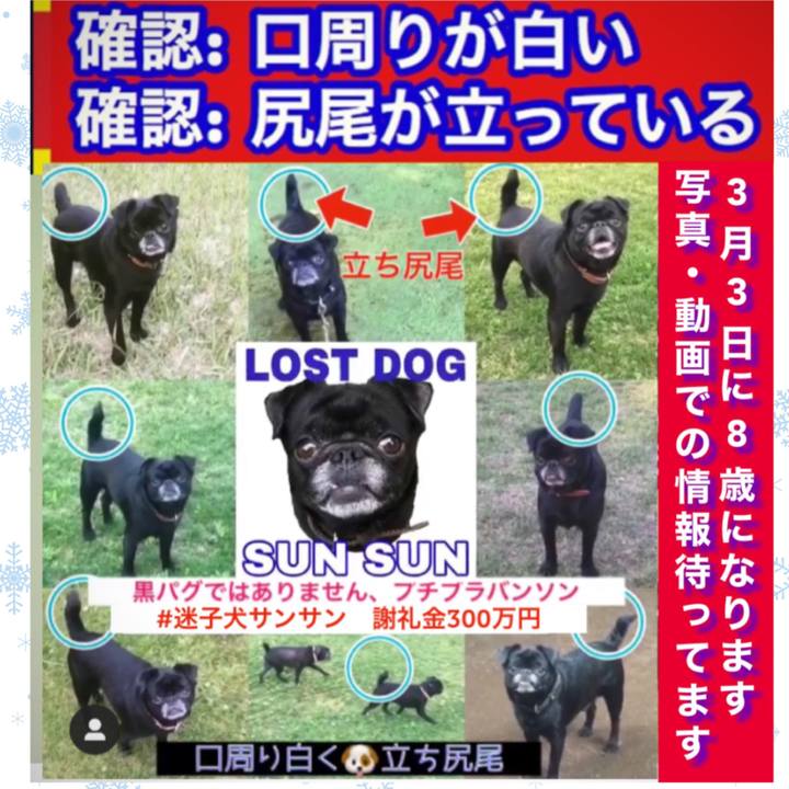 981dc291 15f7 4878 be51 2c31fe403420 1580103704541