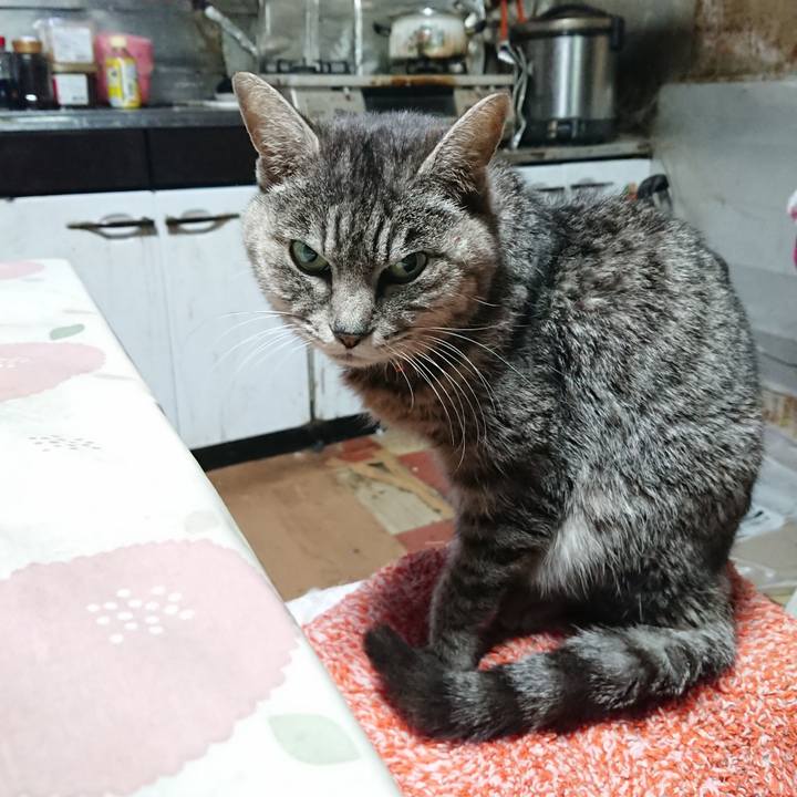 981dc636 4fb6 4e9f b8e0 72b064898899 1581200392586