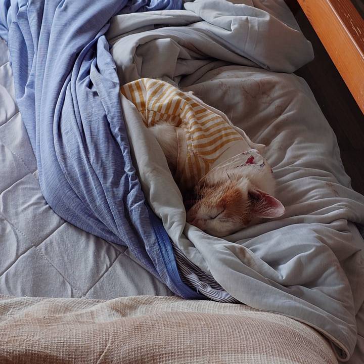 981de1f7 85ab 4a45 b1c8 168369e71778 1759714405722