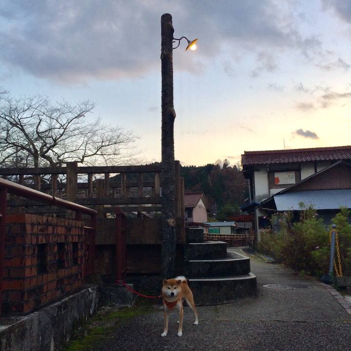 981de4a7 1c34 4be7 80ab 95ced42200e1 1511262789236