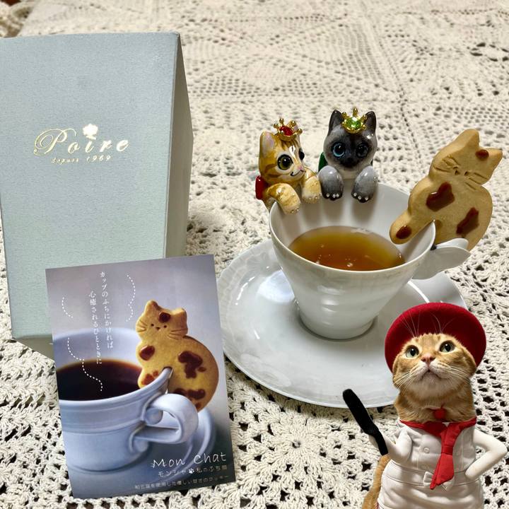 981dfb0d 3308 4af4 8b6a 1ae0592cc72a 1702194551176