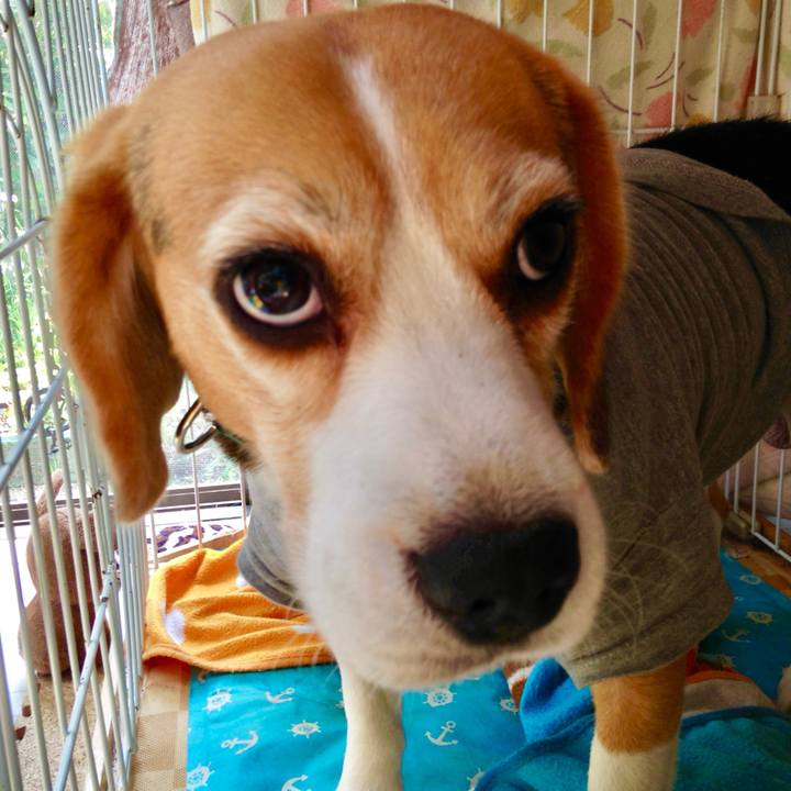 981e0208 e701 48c4 8516 2e4391bdc175 1748496999086