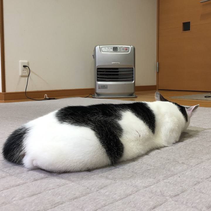 981e3a7c 0ffb 447e 9fd3 20e6854affa9 1636450213998