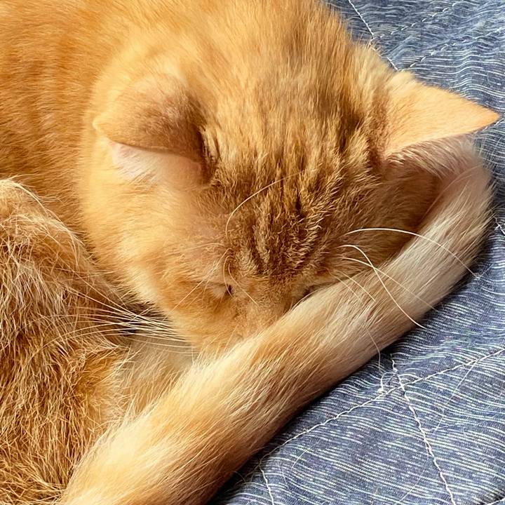 981e4212 1eea 489b 9b4e c93974a41dbc 1637471250312