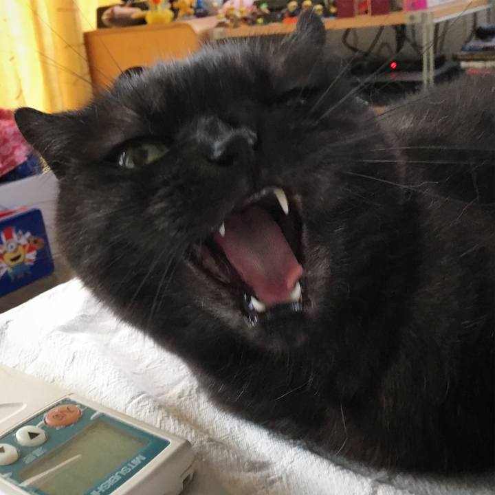 981e4671 2241 4a2c bec0 83dac4f752ed 1530668752443