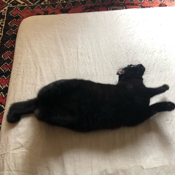 981e8c0b ebd6 41df a09d 2e0c0fc81b4a 1559372781555