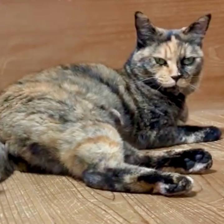 981ed29b 576e 40b5 a2ae 55119490d42b 1754224151219