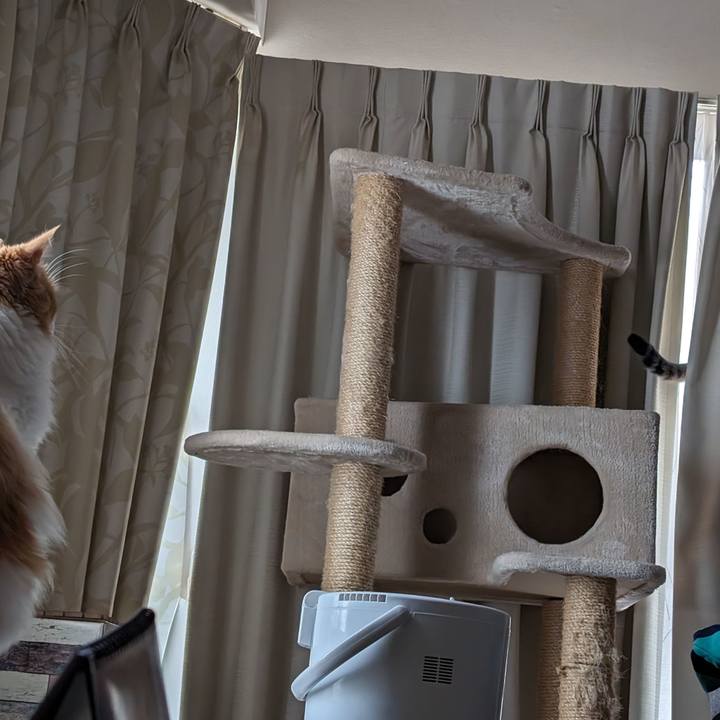 981ed9bf 013a 42d1 835f 807c77dbf528 1700176636604