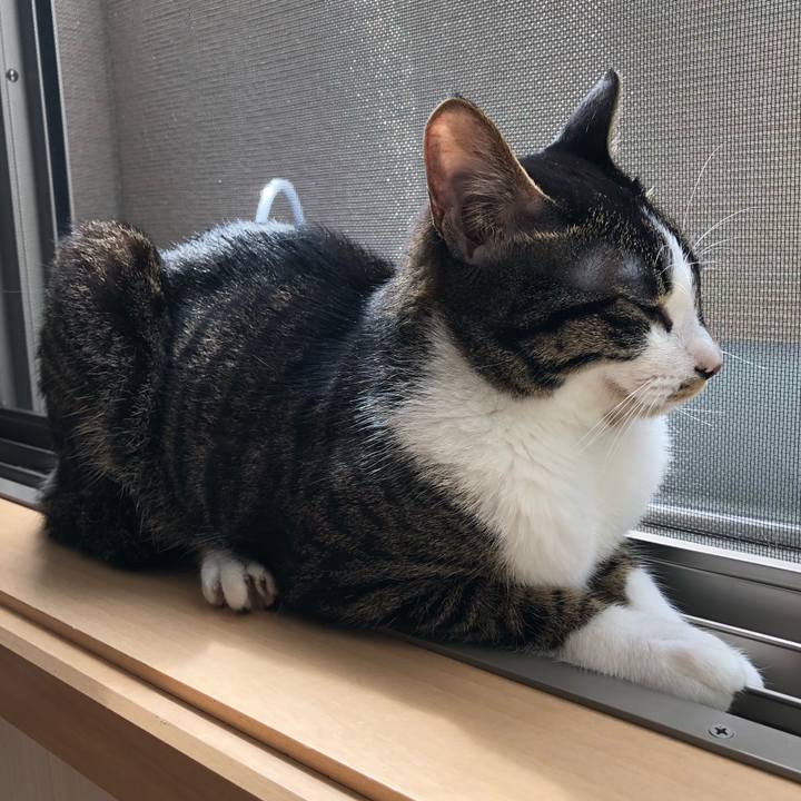 981f55ca cbd2 4ee2 a8fd 9baa315151c2 1523067438458