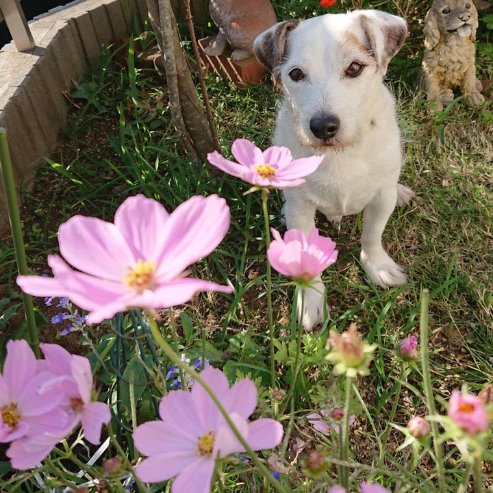 981f6a36 69e4 409e b158 6ae964143ccf 1573428831749