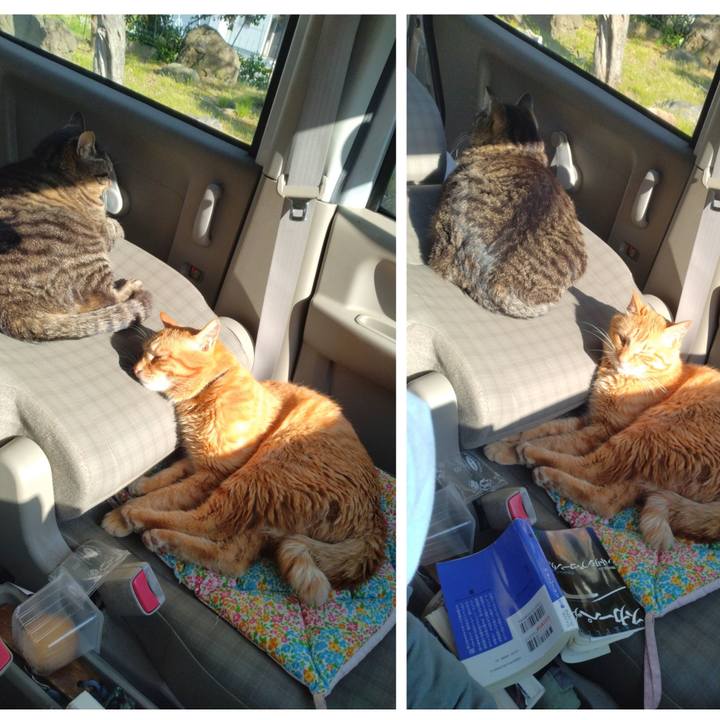 981f82cd 8224 4d8e ab82 e82c5695dcab 1716282339640