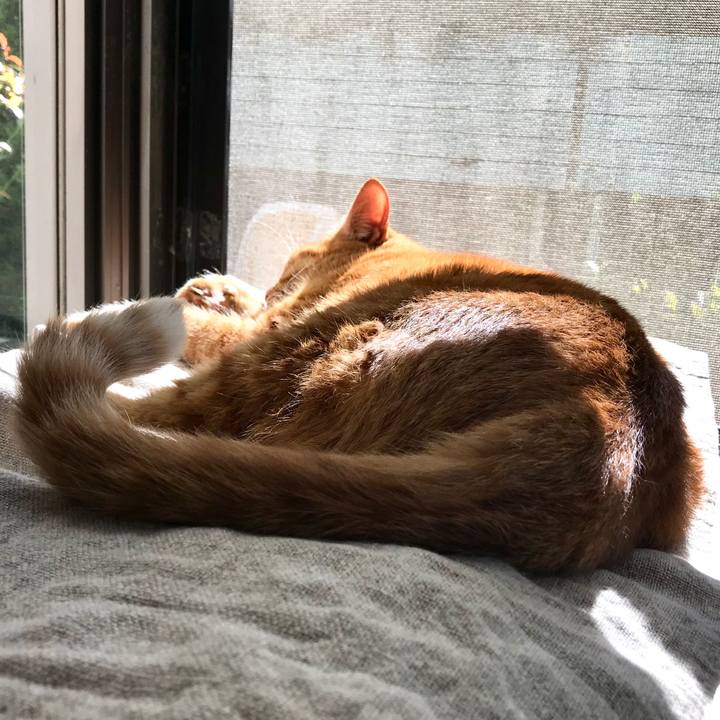 981fb7a2 1635 4bdc 9c2f fc4426d49a0b 1509683262396