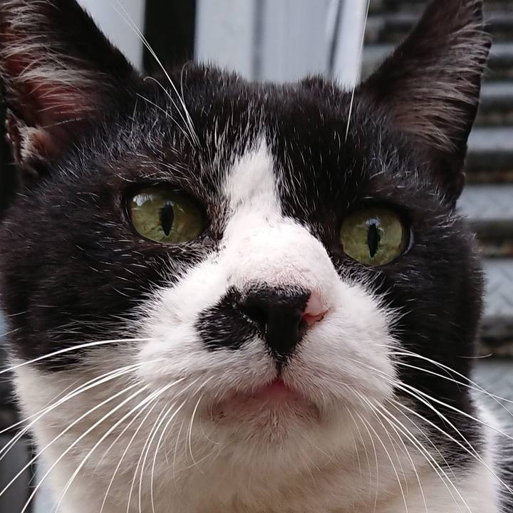 981fc8a3 3068 4971 b428 891d3abc0f6a 1665811123051