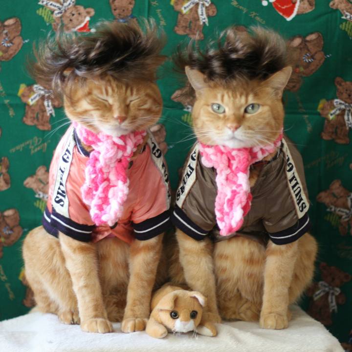 981fe0e5 99af 496a 83f0 7bd33902e1c6 1513854001289