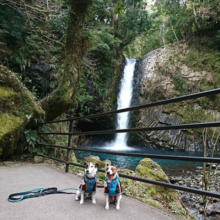 981ffa51 461f 42c5 a03e 0f3f97c34f36 1582074585809