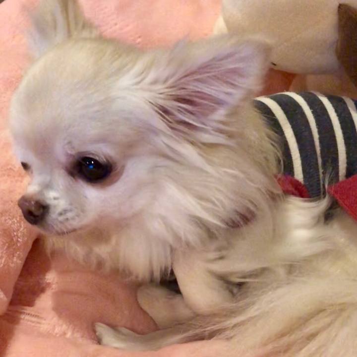 98203787 bbdc 48c7 860d 6f8b7d72c0cd 1514728438084