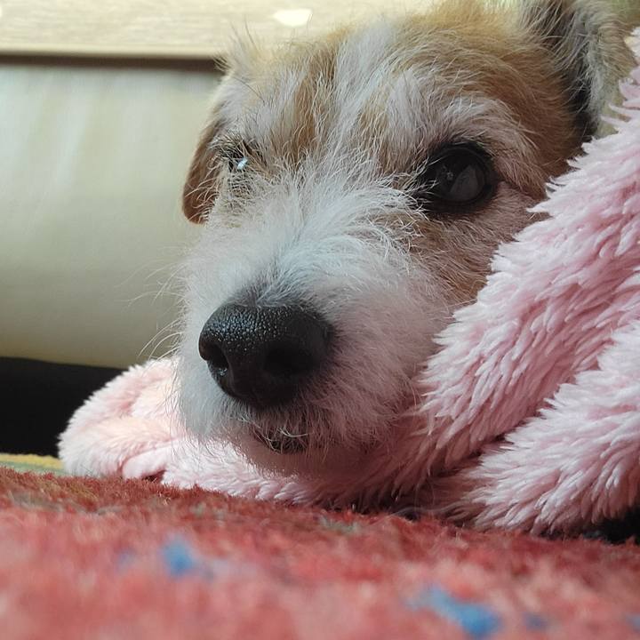 98203f68 c405 43f8 96c0 5202e1fb82ab 1769469222535