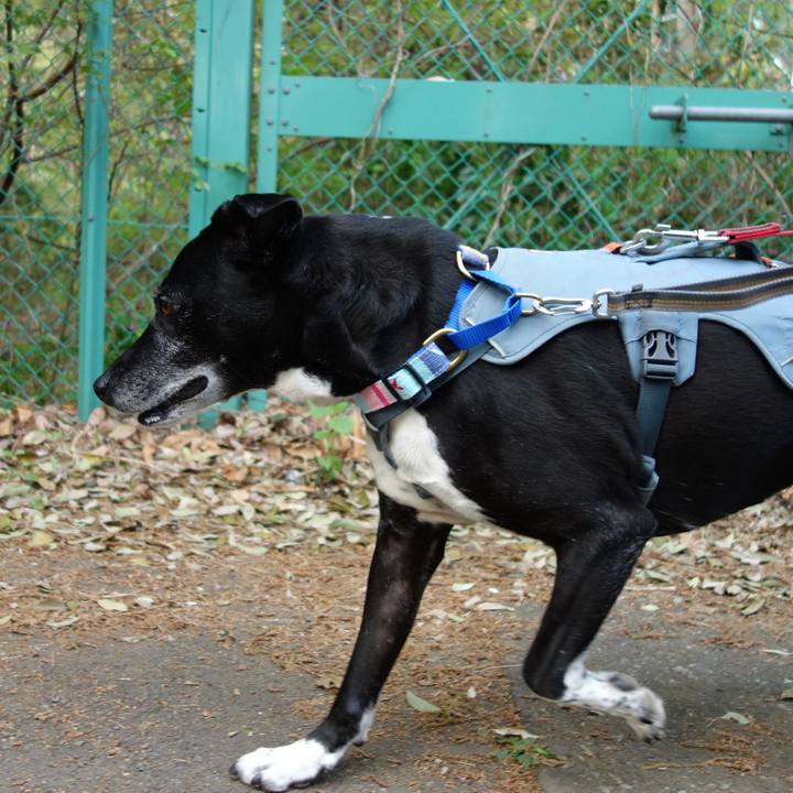 98204742 9e83 4434 b879 a23b324e762f 1744852634949