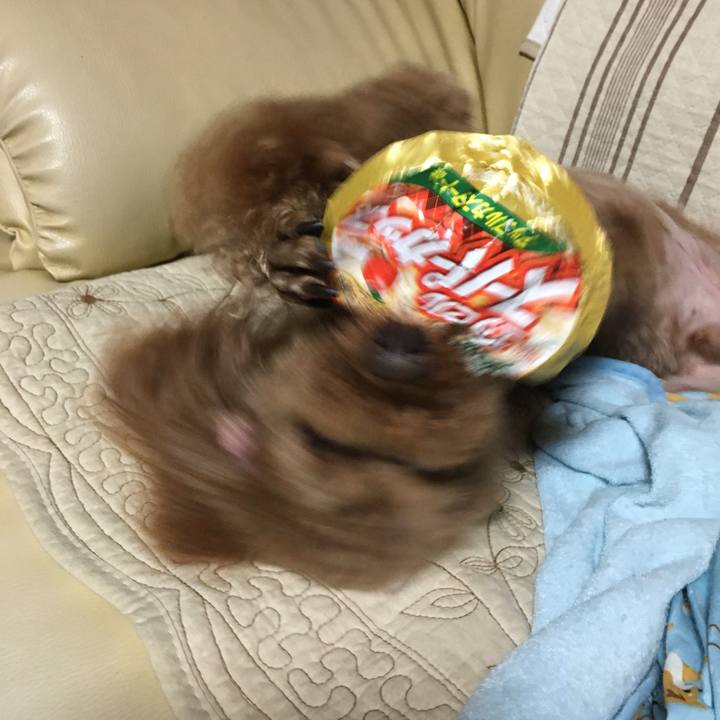 98206aed 0c03 45f0 aaa7 eb9facb73b4d 1527592245061