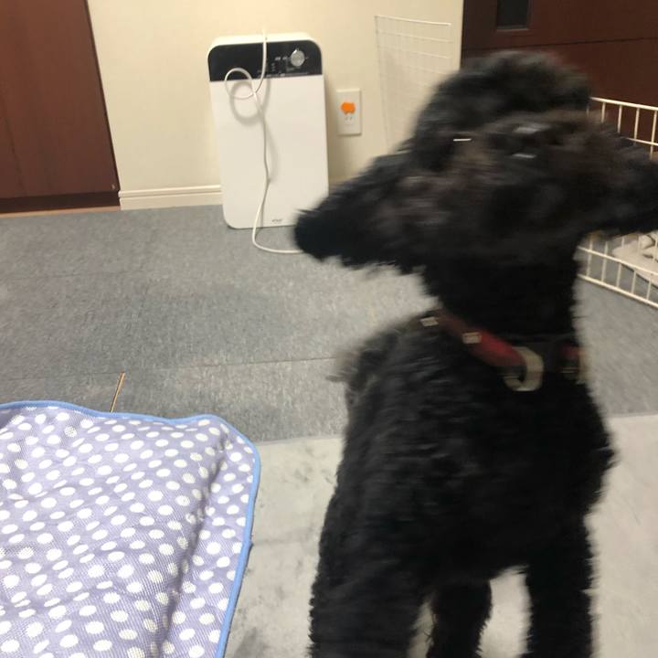 98206ef9 41e4 4d7d bba9 4c82a5abcf02 1599366129560