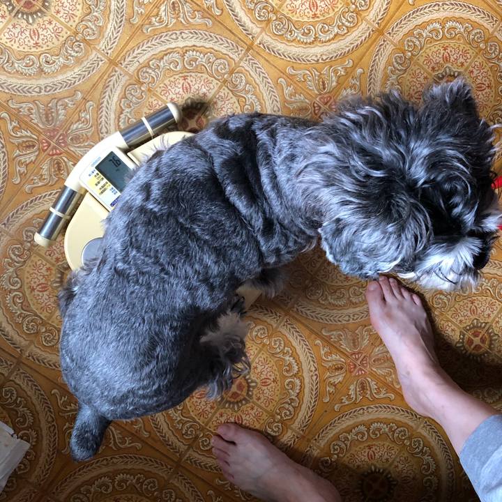 9820c384 1ac4 4616 841b c28f021e86b9 1629176436003