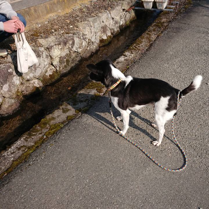 982113e0 a630 46aa ad23 ad65ffa5f046 1551499285197