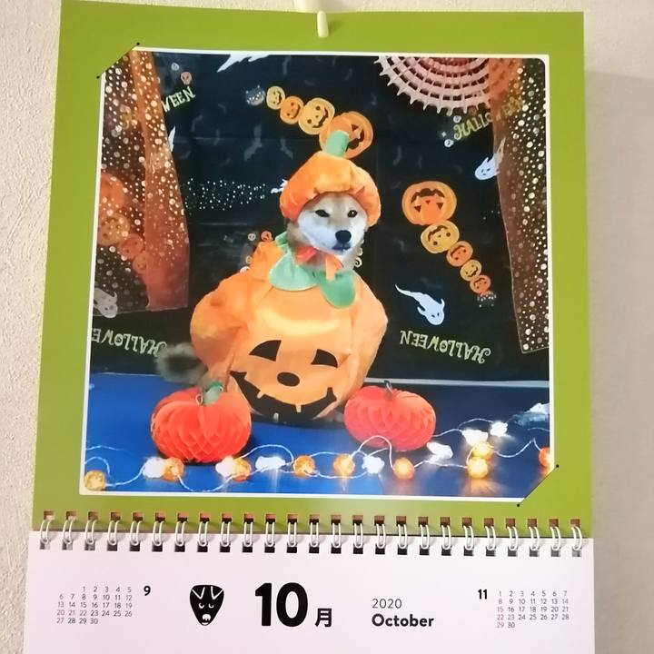 98211a27 b06d 4fc9 ae87 5413b67ec3b8 1601514874383