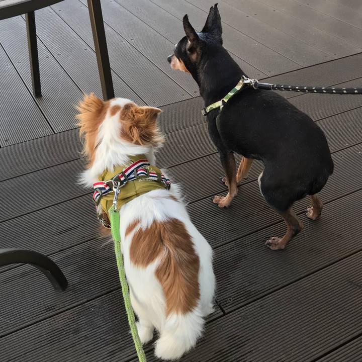 98215ada a0b4 4481 ba30 660beae05761 1556788297483