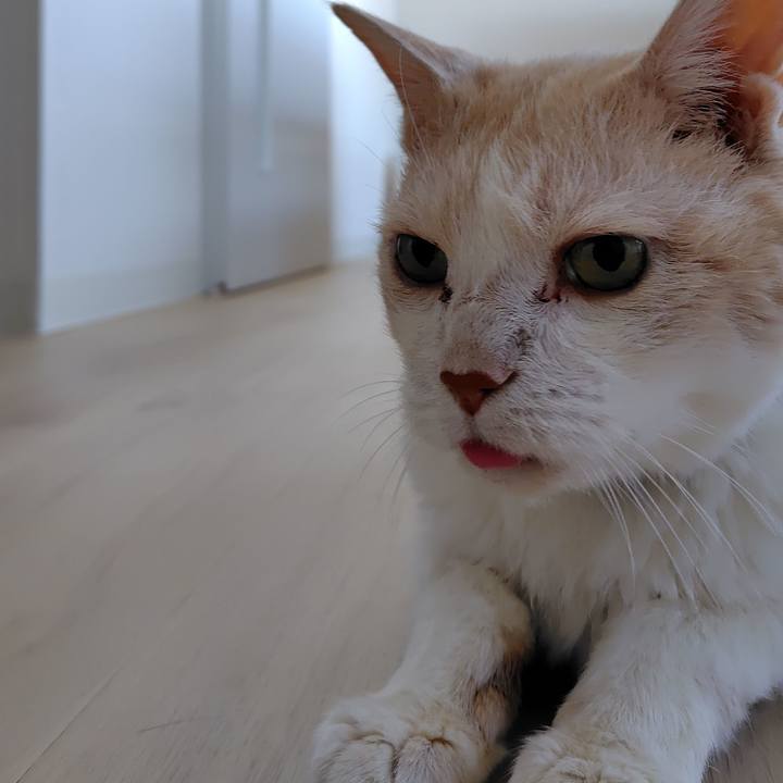 98218749 b301 4d8f af87 e43579967f37 1758065323048