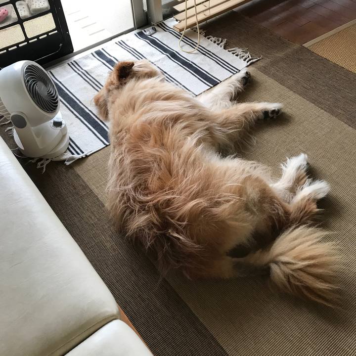 9821b71a 7748 4a1a b967 65a4a463afa1 1593138856769