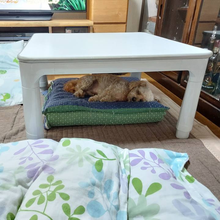 9821b8c1 a531 4cf0 a60b f1d9220d87ad 1662866336162