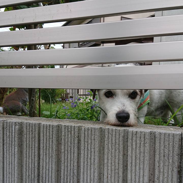 9821d681 e685 4a6d 82a8 58494b9a8fb0 1569801022297