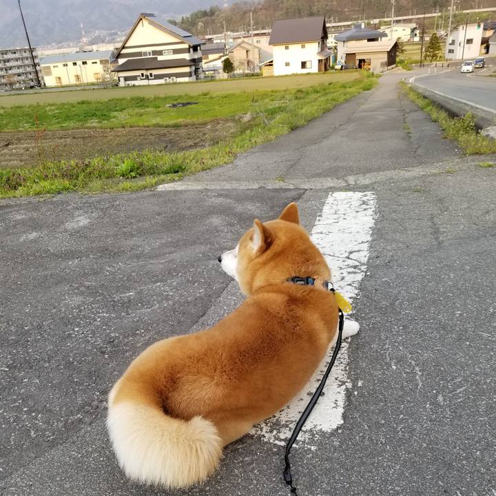 9821f0fb c05c 47f1 8b97 8c8e49da35c8 1588149329874