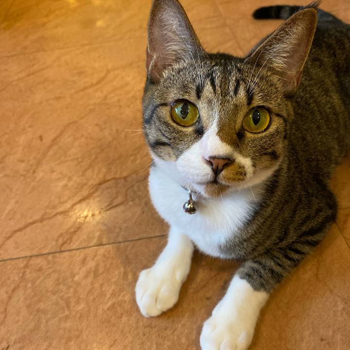 9821f543 7b2b 461c 8b20 eeca36b4b5e8 1658913129578