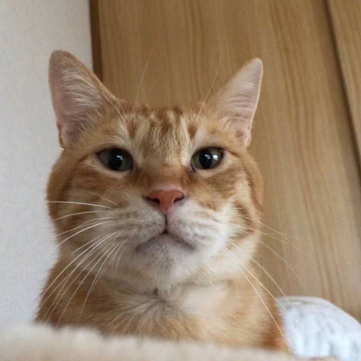 9822059a 8352 490c 8af4 142fc203bc9c 1601157393671