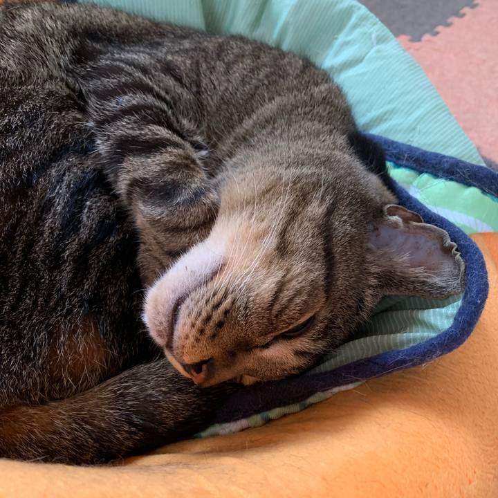 98220c16 992c 4315 986f da098e20639f 1561335681285