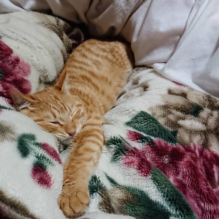 98221058 bfbe 4f8f 88cf deebc3494fe1 1640434988195