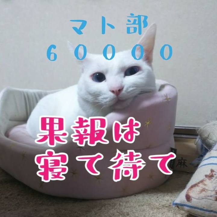 982236be dd69 4a48 ad7b 691359882bbb 1578486851500