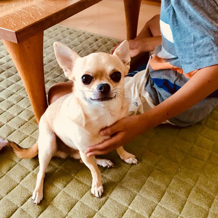 98226ea6 633c 4f7e 8cf9 b5d14e233740 1529717593377