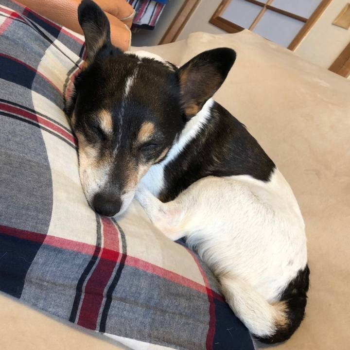 98227043 81bb 4b5c 9cb2 54107ab84426 1552444826435